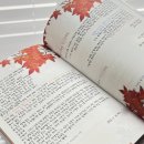 영남중학교 이미지