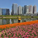 오장동면옥 | 미사호수공원 맛집 오장동 신창면옥 직접 가본 내돈내산 후기
