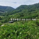 마산양돈장 이미지