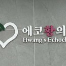 에코황의원 네이버블로그