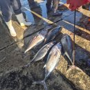 주문진항만 이미지