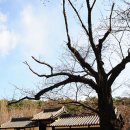 허난설헌생가터 이미지