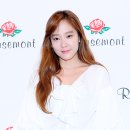 다나 카카오 검색결과