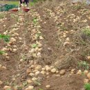 신사2-011 이미지