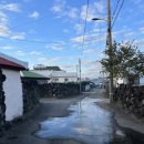 제주독채펜션돌집감성숙소돌담점 이미지