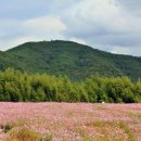 내촌마을 이미지