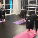 성인 발레스트레칭 이미지