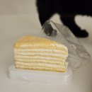 김종욱한의원 | what you see, you become #2