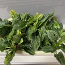 솔밭농장 이미지