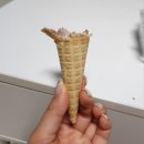 성주농원 | 251027-1102 일기 / 너공 / 성주 가볼만한곳 / 대구에서 제일 큰 다이소