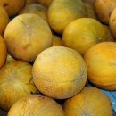 하늘타리 이미지