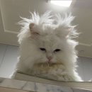 (주)휴메디온 | #7