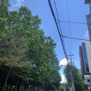 [청담동 미용실] 하츠도산 김현주 디자이너님 데일리 메이크업 후기