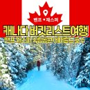 로지로키로드 | 캐나다 밴프 여행 재스퍼 에머랄드 호수 인생 버킷리스트 여행 후기 최고의 숙박 추천