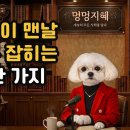 지혜마트