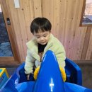 승훈목장 이미지