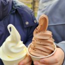 한림민속오일시장(한림오일시장) 이미지