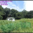 상역골천 네이버블로그