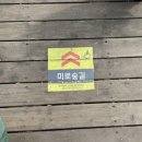 서윤의숲길 | 제주 사려니숲길 후기 한라산 둘레길 주차 소요시간 동쪽 여행 가볼만한곳