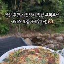 인제소재골야영장 네이버블로그