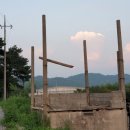 베리팜 펜션 이미지