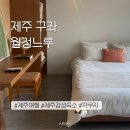 월정느루 | 제주 감성 월정리 해수욕장 숙소 야외 자쿠지가 있는 월정느루 (느루, 쉼) 솔직후기