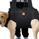 고산119안전센터 이미지