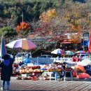 (주)서진축산 | 아이들과 가볼만한 곳 추천! 이담산양목장마을과 대둔산도립공원