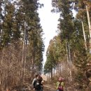 자원봉사론 이미지