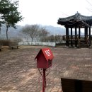 입석2구 Daum카페