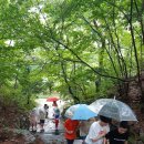 자연과아이들 이미지