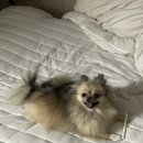 GS25 삼송동산점 이미지