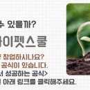 하이펫 애견샵 이미지