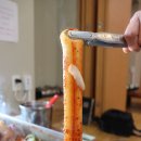 제주어멍통갈치