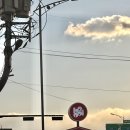 청룡동-7 | 청룡동 로컬 카페 맛집｜후드로스터스 커피 왜 유명한지 알겠음