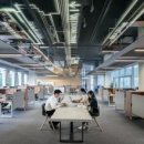 정관4로 이미지