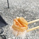 웅진오토캠핑장 | [공주] JJ 캠핑장 후기 및 소개
