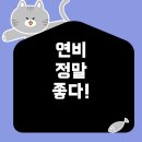 자동차로L 이미지