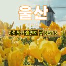 동해고래1번지 | [국내여행] 울산 아이와 가볼만한 곳 BEST 5