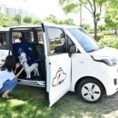 동물택시 이미지