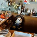 부평구청역 8번 출구 | [런아모크] 부평 감성 카페 찾으세요? 당장 이 글을 클릭하세요🍀