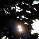 해를 담다 이미지