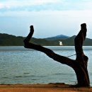 석양풍경 이미지