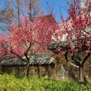 경상감영공원 이미지