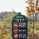 진천 이월면 아이랑 갈만한 곳 생거진천 치유의 숲