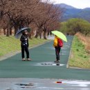 위례강변길 이미지