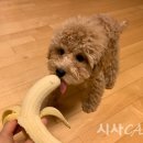 솔메이트 이미지