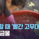 김장할 때 ‘빨간 고무대야’ 사용 금물 이미지