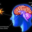 고유시차 이미지