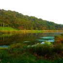 양섬야구장화장실 이미지